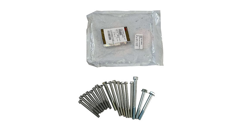 Royal Enfield Himalayan Crankcase Fasteners Kit D1