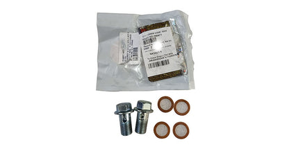 Royal Enfield Himalayan Gasket and Union Bolt Kit