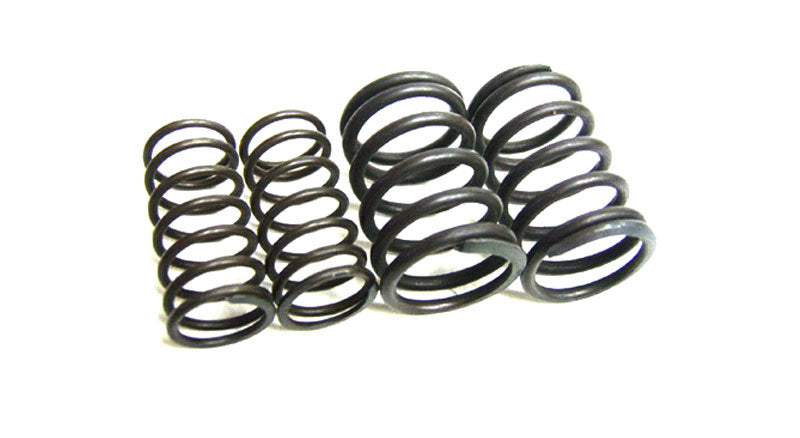Royal Enfield 350cc Valve Spring Kit