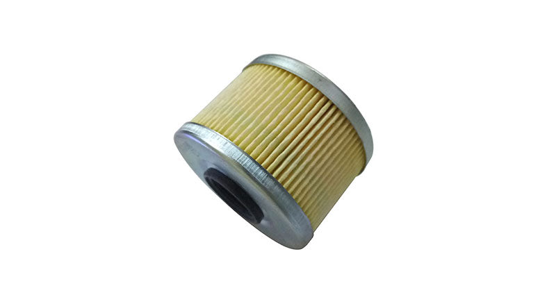 Royal Enfield Himalayan Oil Filter #574297/D