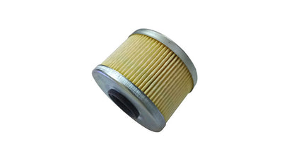 Royal Enfield Himalayan Oil Filter #574297/D