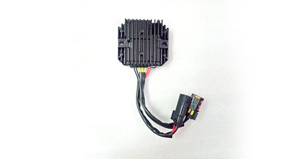 Genuine Royal Enfield Interceptor 650 RR Unit