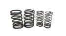 Royal Enfield 500cc Valve Spring Kit - SPAREZO