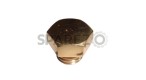 Brass Chain Case Inspection Plug Royal Enfield - SPAREZO