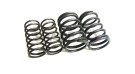 Royal Enfield 350cc Valve Spring Kit - SPAREZO