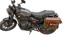 Royal Enfield Hunter 350 LH RH Pannier Luggage Bags Olive And Mounting 2022-23 - SPAREZO