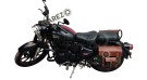 Royal Enfield New Classic Reborn 350 Olive Color Bags With Mounting Pair - SPAREZO