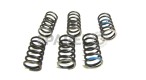 Royal Enfield Clutch Spring Kit - SPAREZO