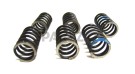 Royal Enfield Clutch Spring Kit - SPAREZO